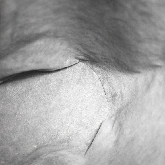 Louis Vuitton Lv Logo Randonnee Pm #78122L36B - Picture 11 of 15